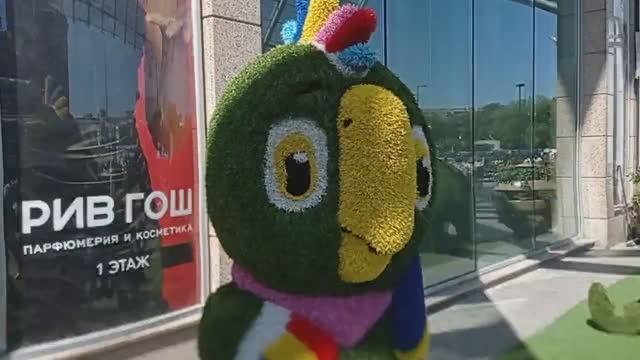 Кеша в адидасе. ТЦ европейский Киевский вокзал Москва (2021.07.07 14:13:37)