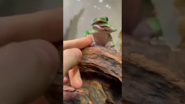 Олеся Иванова