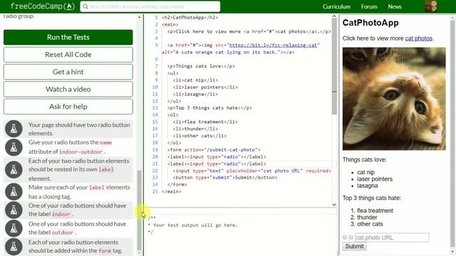 [22] Create a Set of Radio Buttons смотреть онлайн