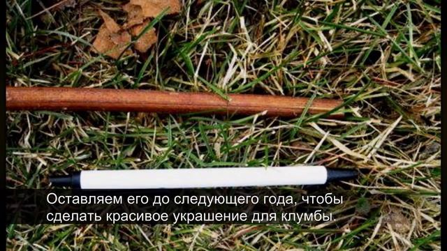 Как сделать простую изгородь быстро и без заморочек смотреть онлайн