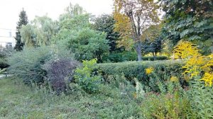 17.08.2024 г Орел/ Орловские парки/ Парк ОГАУ