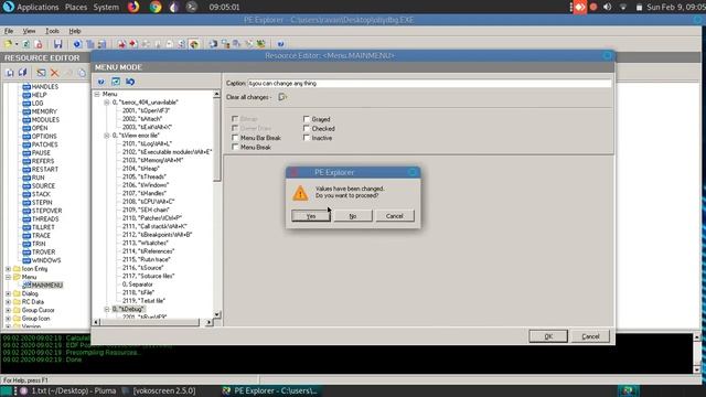 #reverse_engineering #how to modify any software (exe file) by reverse engineering смотреть онлайн