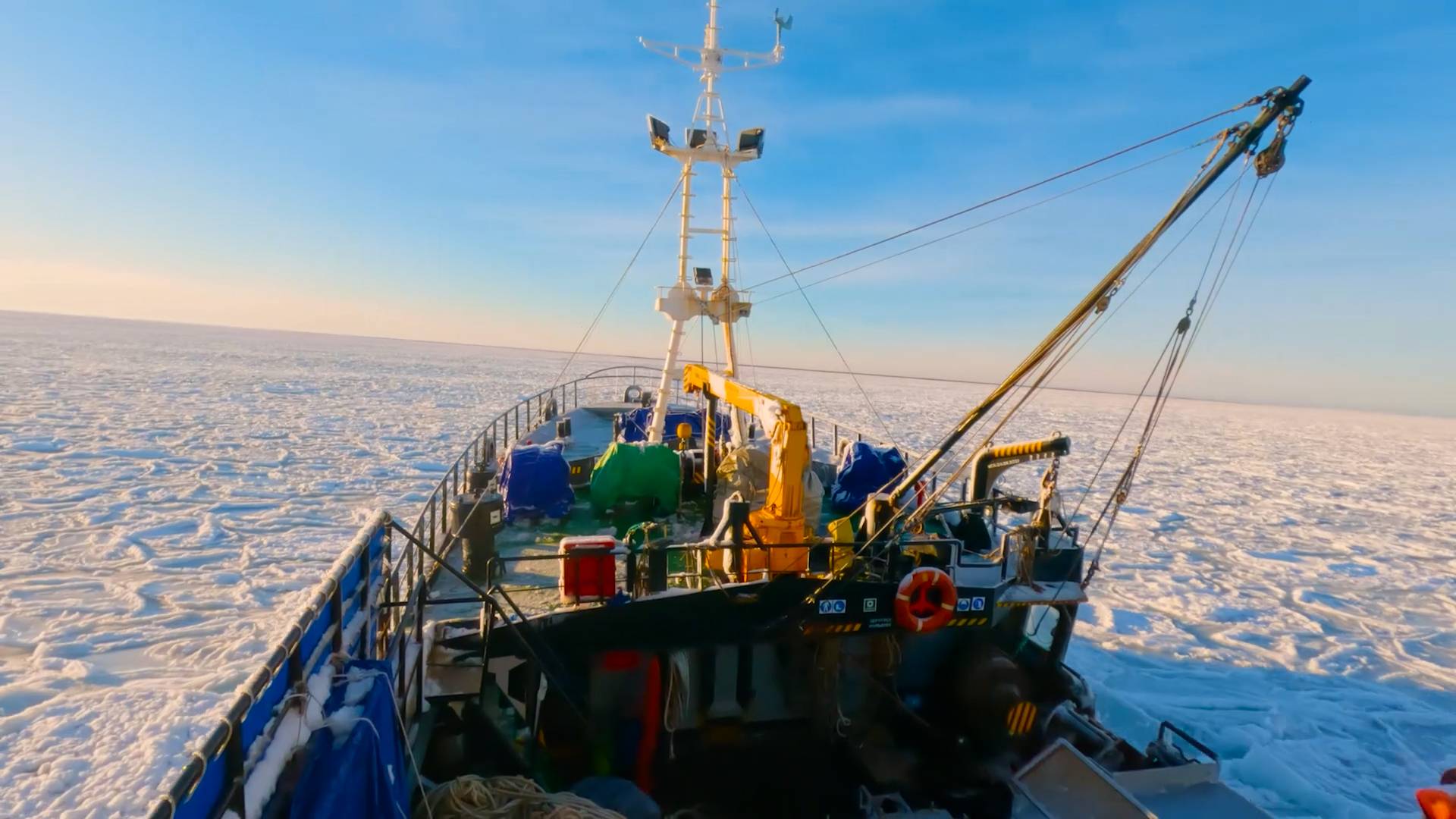 Работа в море 2024.