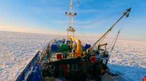 Работа в море 2024.