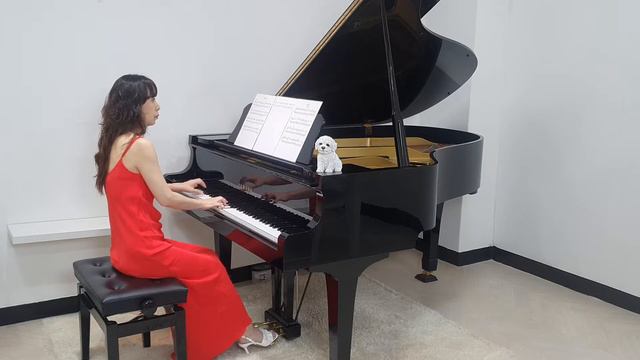 335*. Lambada ( 람바다 ) / Piano Live ( 2021 ) смотреть онлайн