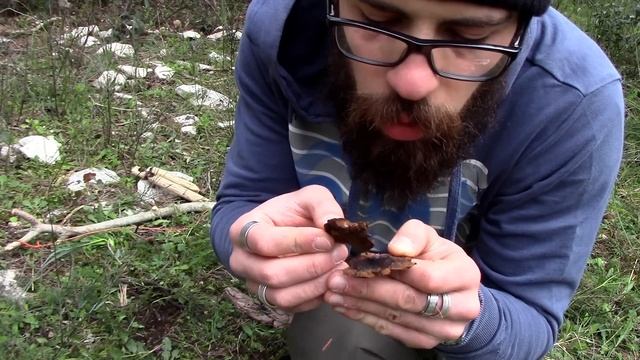 Fungo esca - Come accendere il fuoco con Fomes fomentarius etc. смотреть онлайн