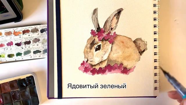 Рисуем кролика акварелью смотреть онлайн