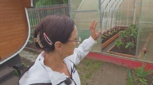 Видео привет с 6 соток 5 июня 2024 года.