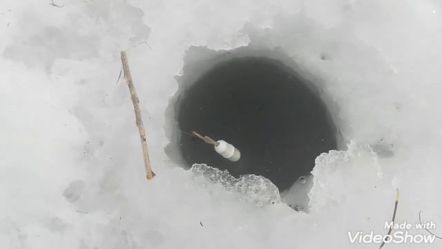 Ловим крупного ельца! (big Dace Fishing)