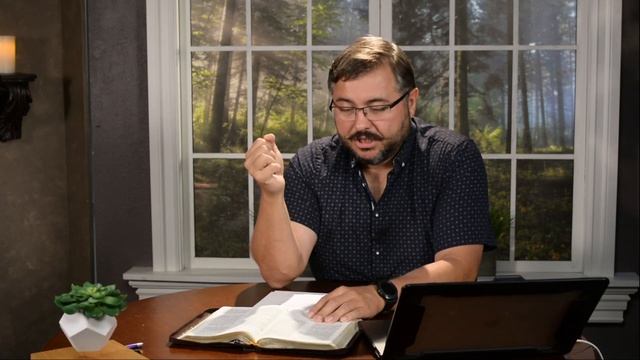 Дерево, Как избежать неудачи? смотреть онлайн