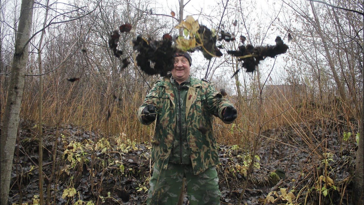 НЕ ВЗДУМАЙ ПРИНОСИТЬ И ДАВАТЬ ЭТО КУРАМ. смотреть онлайн