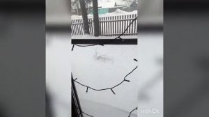 Перегон на сто и Цены на ремонт ГБЦ Лады ларгус К4М