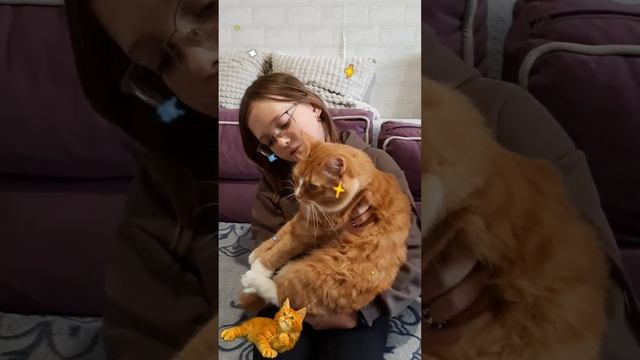 Красивый кот Лева, очень радушный хозяйский кот? смотреть онлайн