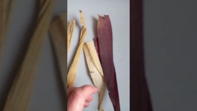 Поделки из природного материала. Кукуруза. смотреть онлайн