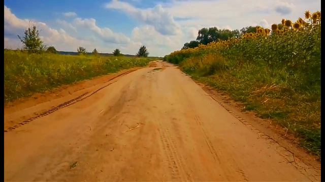 ФУТАЖИ ДЛЯ МОНТАЖА. Сельская грунтовая дорога. Дорога в поле.