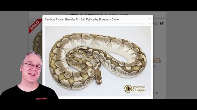 How to make a Patternless Ball Python! смотреть онлайн