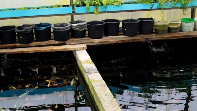 Садовые уголки