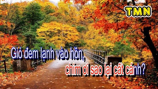 [KARAOKE] Người yêu và con chim sâu nhỏ - Slow (Phạm Thế Mỹ) – Tone Nam (Am) | #coverbytmn смотреть онлайн