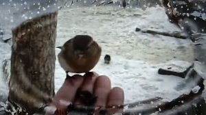 3класс#Поэтическая тетрадь.Саша Черный.Воробей.