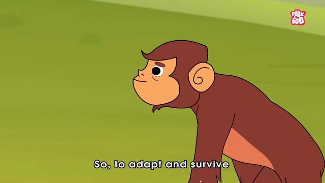 Are Mermaids Real? | Story Of Mermaids | The Truth Behind The Mermaid Myth | The Dr. Binocs Show