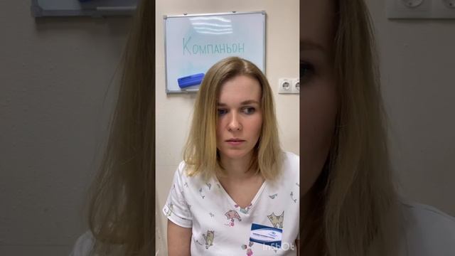 Ветеринарный врач-герпетолог клиники "Компаньон" о наших питомцах смотреть онлайн