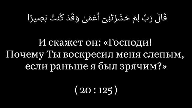 Прекрасное чтение Корана | Чтец : Mishari Rashid Al-Afasy смотреть онлайн