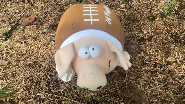 Gemmy Goofballs Pigskin Football Pig смотреть онлайн