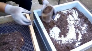 Подготовка субстрата для Дендробены. Ответы на вопросы подписчиков.