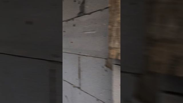 Перегородочный газоблок 100 и 200 мм - идеальное решение для строительства дома