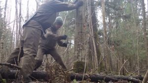 тест ручной цепной пилы