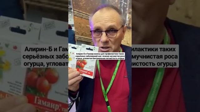 Для профилактики каких заболеваний применяются Алирин-Б и Гамаир#сад#огород#дача#shorts смотреть онлайн