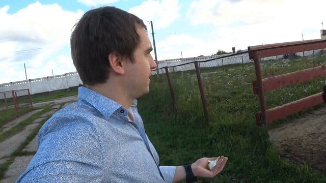 Загород #2: страусиная ферма "Русский страус" смотреть онлайн