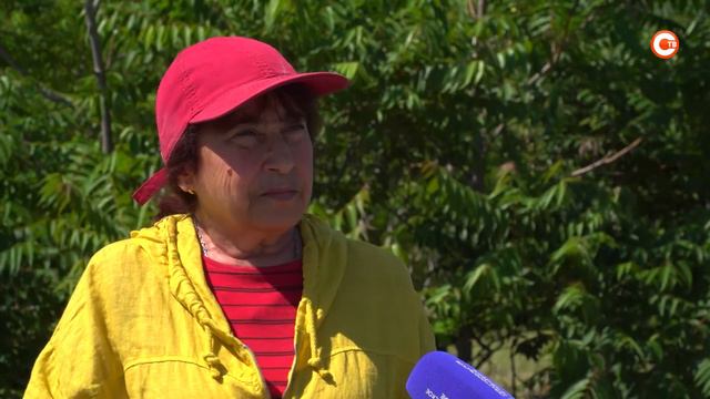 «Некрополь святых» — уникальное место, которое необходимо сохранить смотреть онлайн