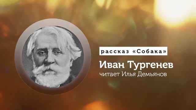 Иван Тургенев аудиокнига, рассказ «Собака» смотреть онлайн