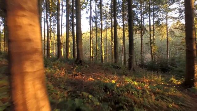 HEALING MANTRA for harmony and  PEACE смотреть онлайн