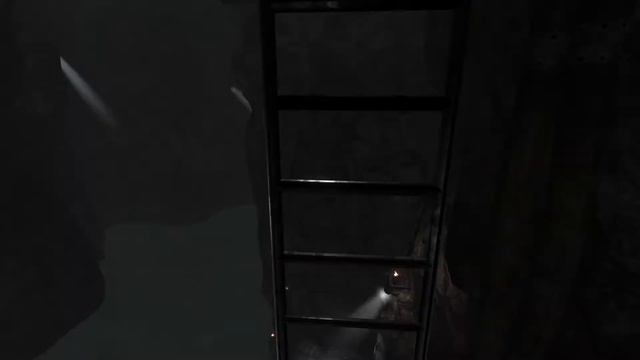 An Actual Working Ladder In A Bethesda Game