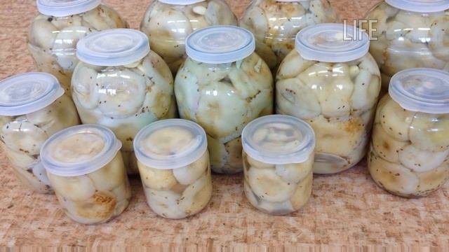 Секреты Фотографии