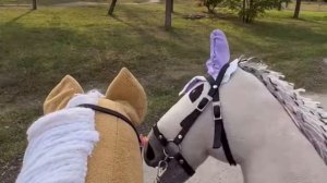 Влог тренировка с моей подругой на хоббихорсах??