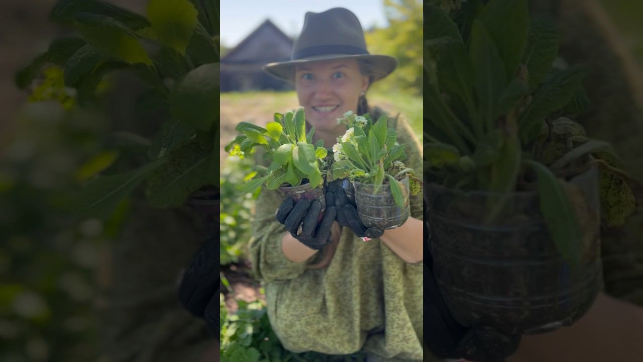 Не могу пройти мимо бабушек на рынке / Весенняя трата денег #огород #аптекарскийогород
