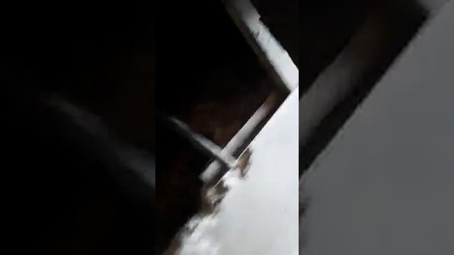 Тайга классика с к6а капот закрываеться смотреть онлайн