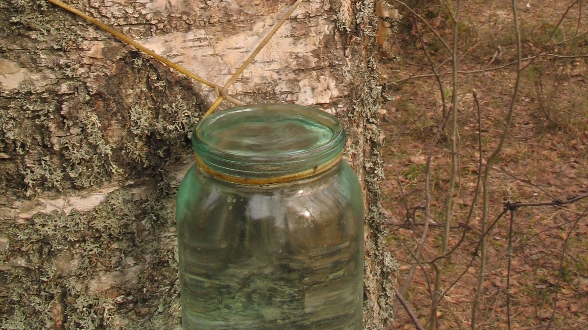 Тайны звезд АСТРО