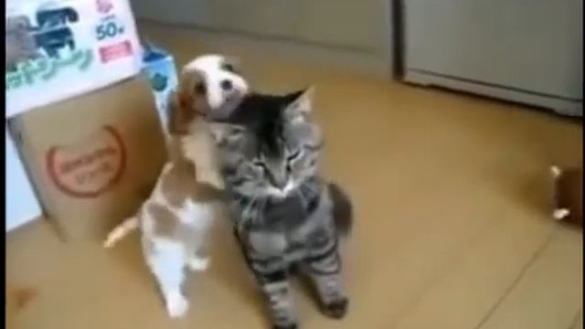 забавные животные 4 смотреть онлайн