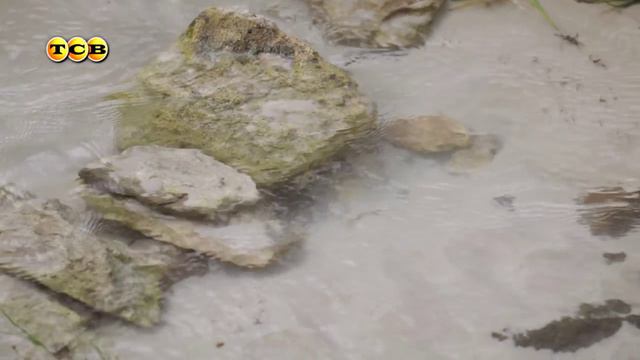 Золотые пески Глубокой долины. 2 кадра. 05.04.2016 смотреть онлайн