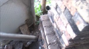 ПЕЧЬ НА УЛИЦЕ из старого кирпича своими руками//БЮДЖЕТ НУЛЕВОЙ