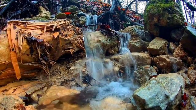 Нежный звук реки и пение птиц/лесной водопад смотреть онлайн