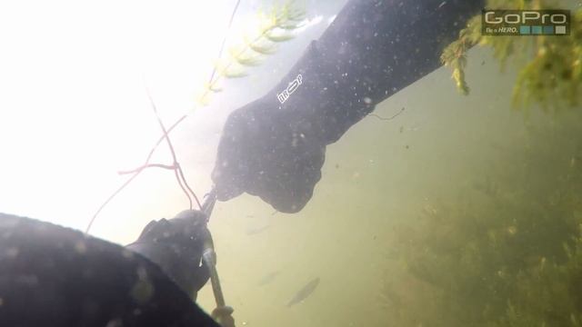 Подводная охота в ильменях Астраханской области - "Толстолобы и лопухи" смотреть онлайн