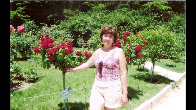 Артековская звёздочка смотреть онлайн