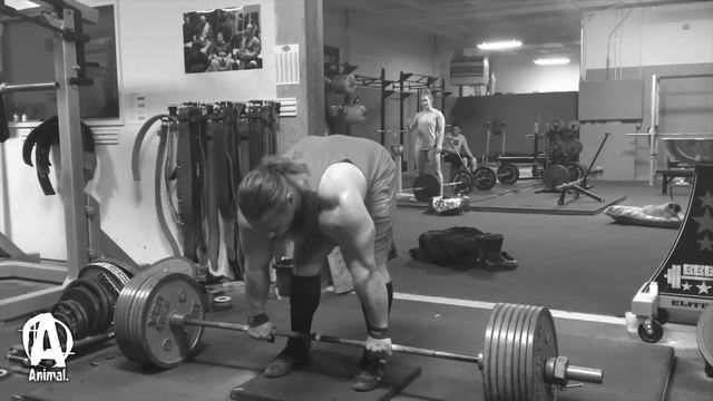 The Animal Underground: Dan "BOSS" Green Deadlift and Abs смотреть онлайн