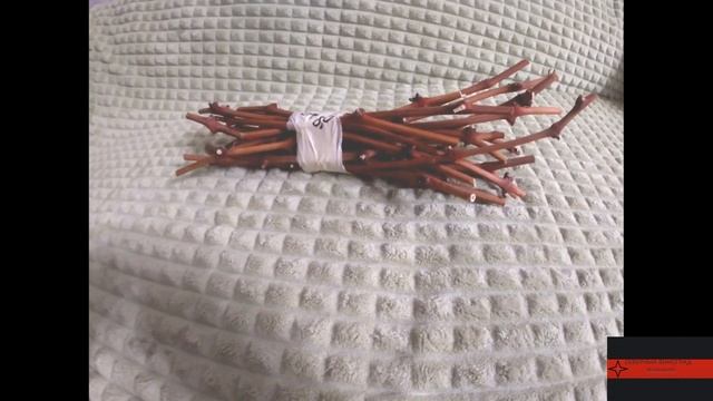 Идеальная температура хранения черенков винограда. Вы знаете ??? смотреть онлайн