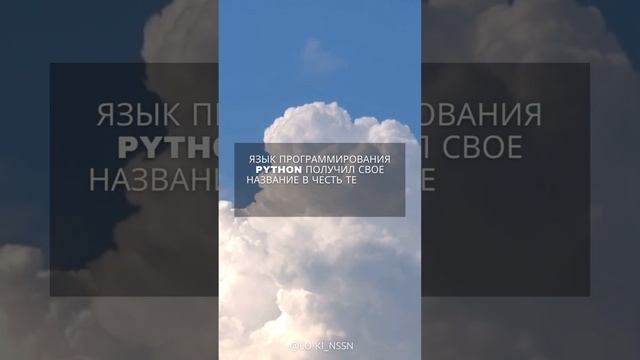 Язык программирования Python получил свое название в честь телешоу "Монти Пайтон's Flying Circus". смотреть онлайн